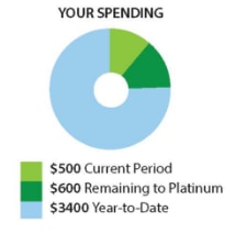 Your spending information